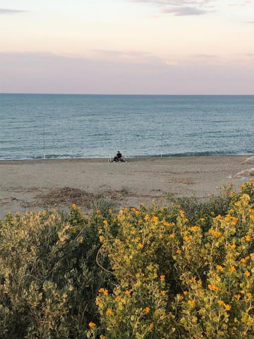 Logement Plage 생시프리앙 외부 사진